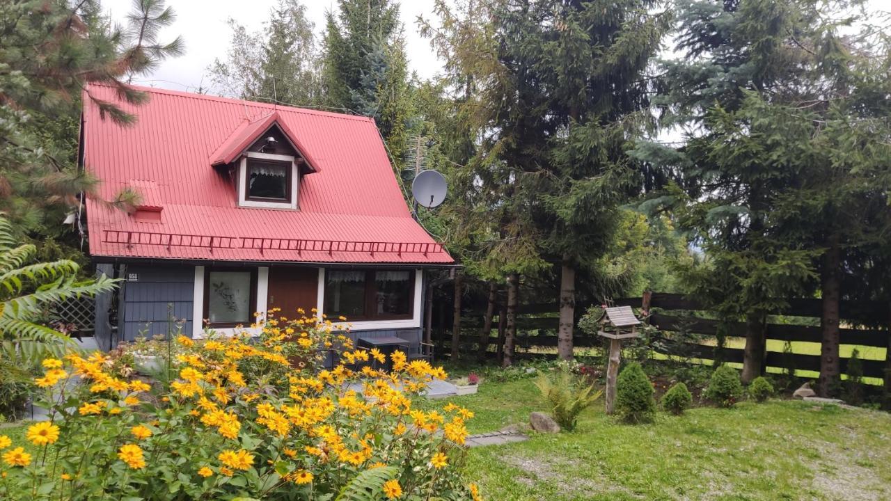 Chata Pietraszyna Koniakow Exterior photo